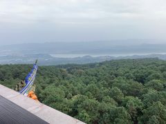 -铁山坪森林公园