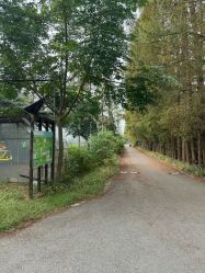 -前小桔亲子创意农场·草莓采摘·露营烧烤