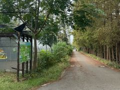 -前小桔亲子创意农场·草莓采摘·露营烧烤