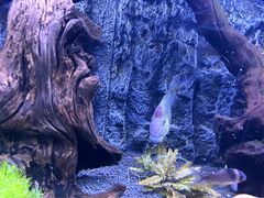 -上海海洋水族馆