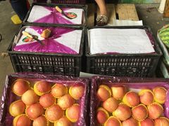 -南京众彩农副产品配送有限公司