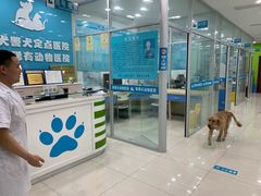 -乖乖乐动物医院(小汤山分院)