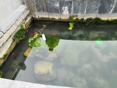 -华阳洞风景区