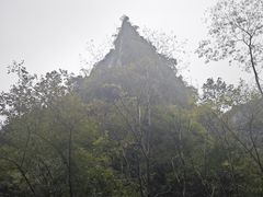 -后柳水乡