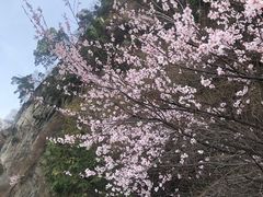 -少华山国家森林公园