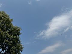 -凤凰沟景区