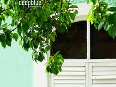 -龙环葡韵住宅式博物馆