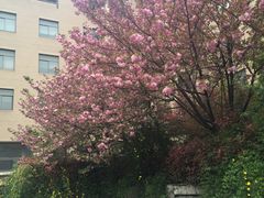 -华中科技大学百景园(三楼酒店)