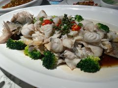鲜花椒鲈鱼-悦海·家宴·冰花皮皮虾大锅贴(宝龙店)