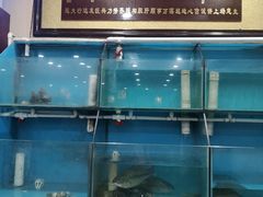 -覃大个·藕汤印象(博奇路店)
