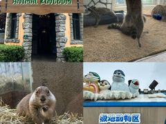 -海合安武汉极地海洋公园