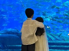 -亚特兰蒂斯•OSSIANO奥西亚诺海底餐厅