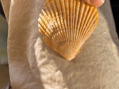 -大连双兴商品城