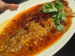 -大张烙馍村·美食地标(泉山店)