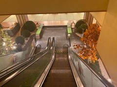 -汤泉良子(金源店)