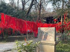 -灵谷景区