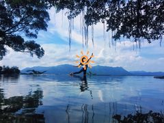 -大埔公路-马料水段香港中文大学(公交站)