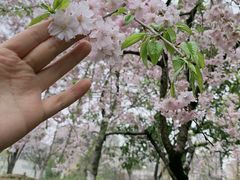 -堤角公园