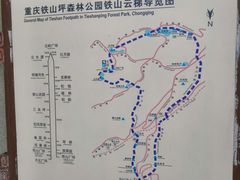 -铁山坪森林公园