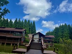 -黄海国家森林公园