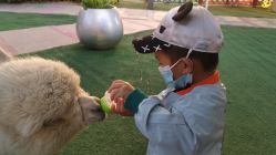 -萌宠亲子动物乐园(槐房万达店)