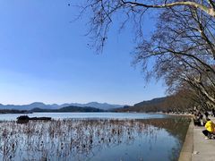 -苏堤停车场
