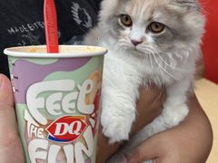 -DQ·蛋糕·冰淇淋(五角场万达店)