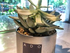 -ADO KAFE(大学城店)