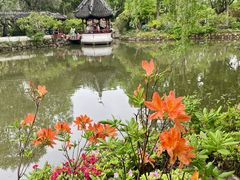 -上海醉白池公园