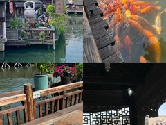 -乌镇西栅景区