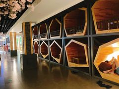 -星河湾温泉洗浴酒店