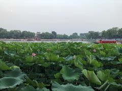 -小王府(什刹海店)