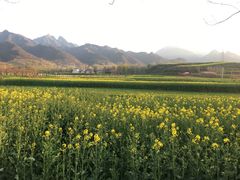 -龙湾潭国家森林公园