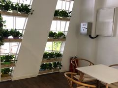-苍轩跆拳道馆(望京店)
