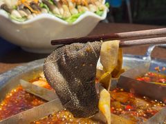 -巴倒烫陆派火锅山庄(南山总店)