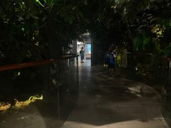 -李时珍纪念馆