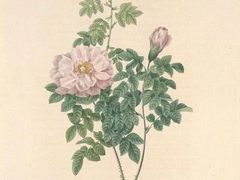 -八哥美术·成人美术画室(总校区)