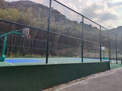 -龙坞茶村