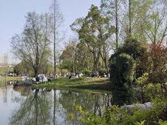 -洋湖国家湿地公园