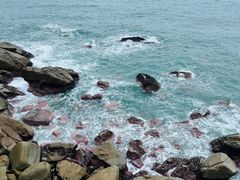 -广东惠东海龟国家级自然保护区