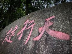 -阳台山森林公园