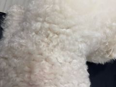 -海门爱心宠物医院