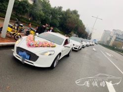 -宁波甬诚婚车(新典路店)