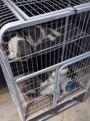 -酷嗒动物文化乐园(cutezoo西溪乐天城店)