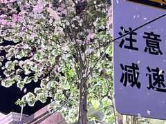 -民园广场