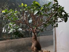 -西江美食舫·江西菜(健德桥店)