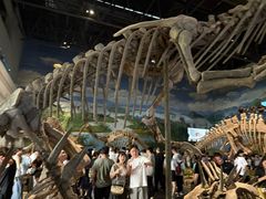 -自贡恐龙博物馆