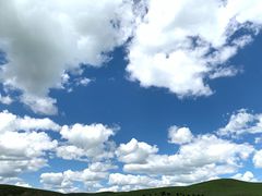 -草原三宝汤锅