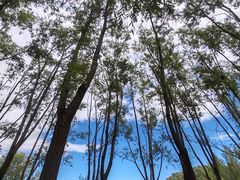 -东郊湿地公园