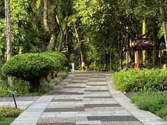 -广西壮族自治区药用植物园